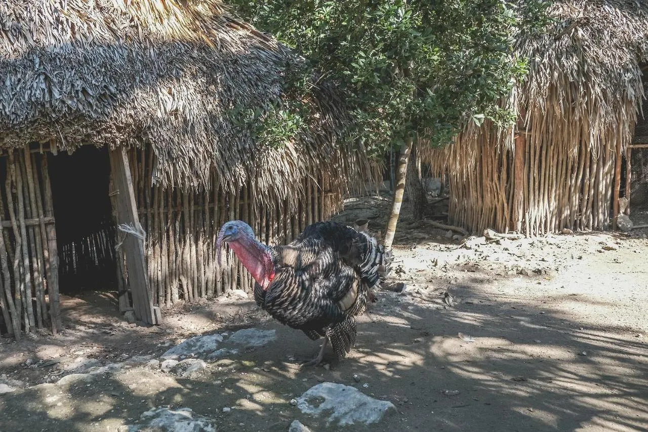 Wakax Hacienda - Cenote & Boutique Hotel - Small Luxury Hotels Of The World Tulum Pueblo 5*,